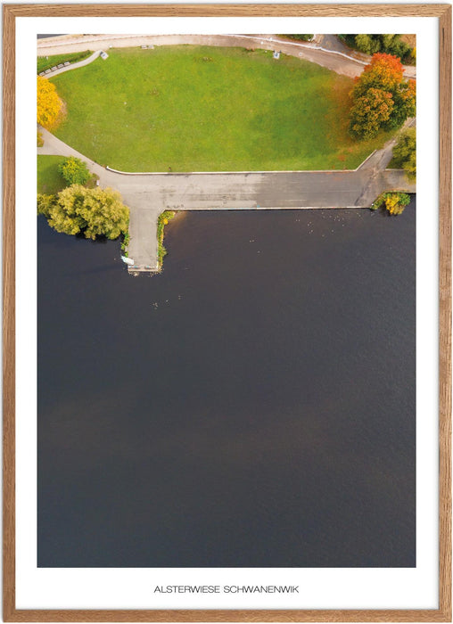 Alsterwiese Schwanenwik Poster