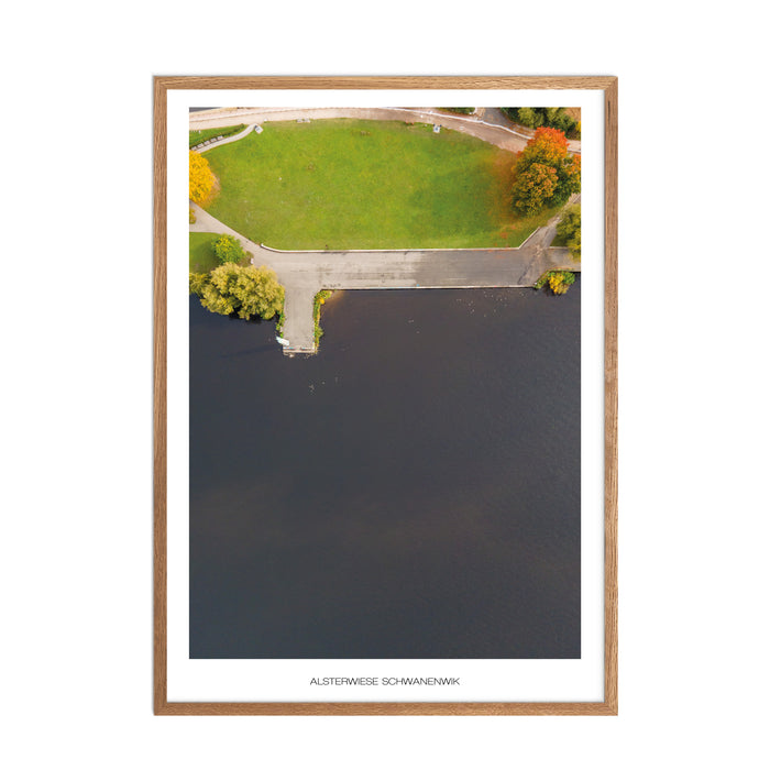 Alsterwiese Schwanenwik Poster