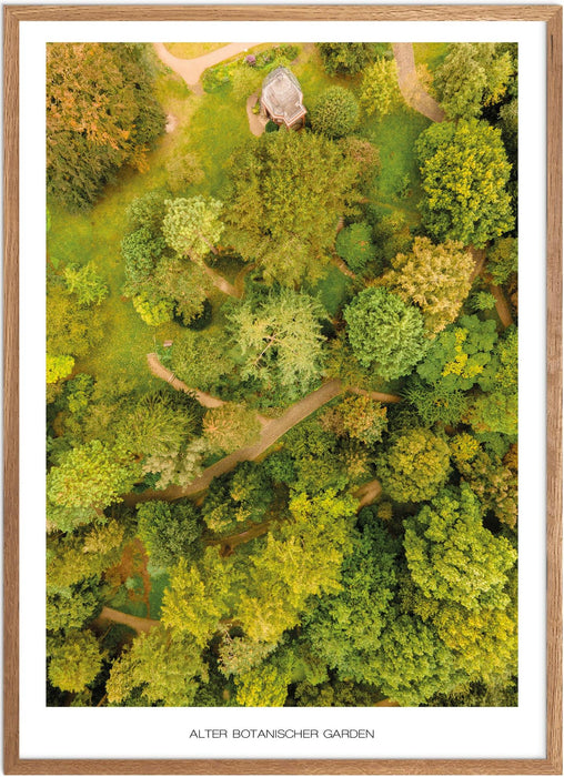 Alter Botanischer Garden (Kiel) Poster