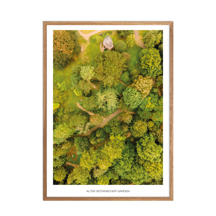 Alter Botanischer Garden (Kiel) Poster