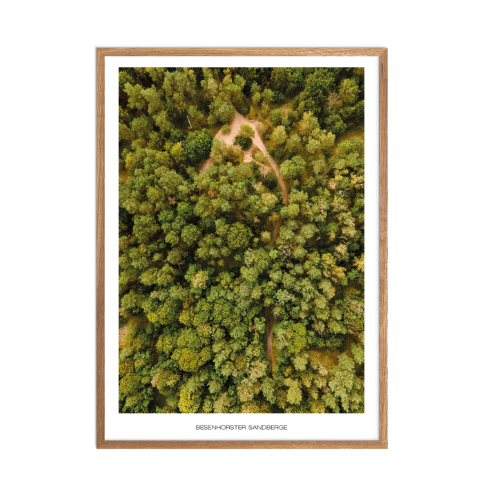 Besenhorster Sandberge No. 2 Poster