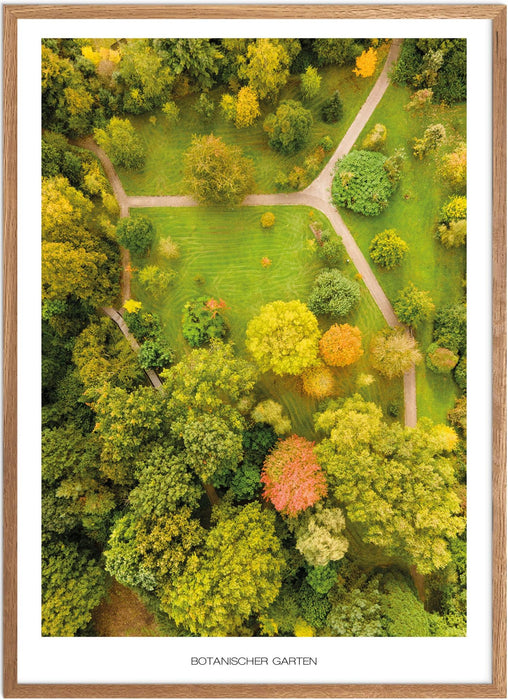 Botanischer Garten No. 1 (Kiel) Poster
