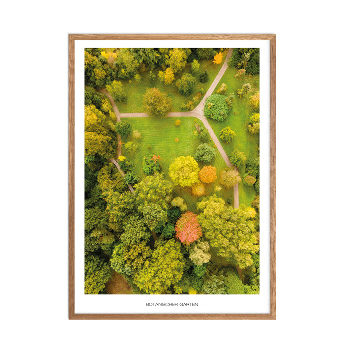 Botanischer Garten No. 1 (Kiel) Poster