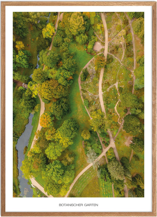 Botanischer Garten (Rostock) Poster