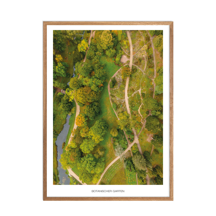 Botanischer Garten (Rostock) Poster