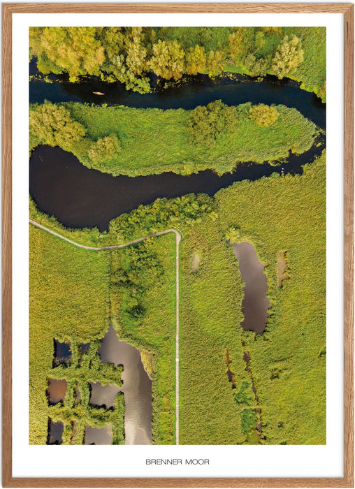 Brenner Moor Poster