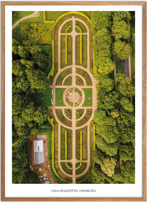 Dahliengarten Hamburg Poster