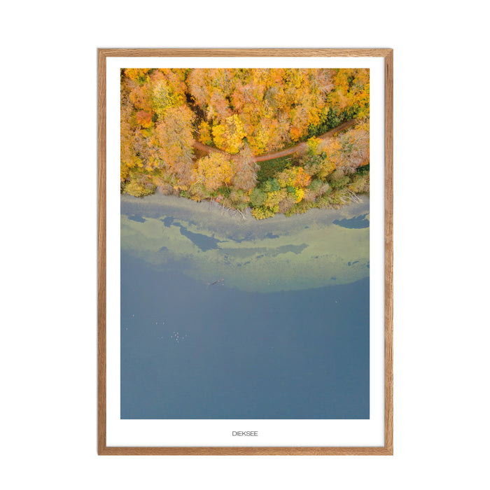 Dieksee Poster