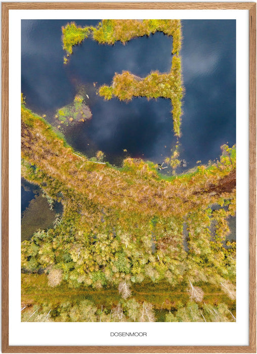 Dosenmoor No. 1 Poster