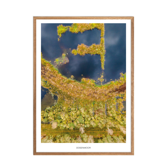 Dosenmoor No. 1 Poster