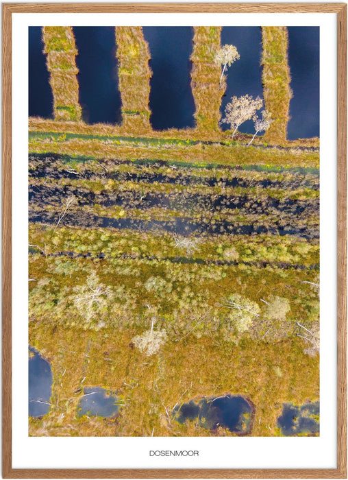 Dosenmoor No. 2 Poster