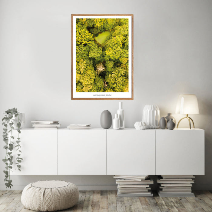 Düstenbrooker Gehölz Poster