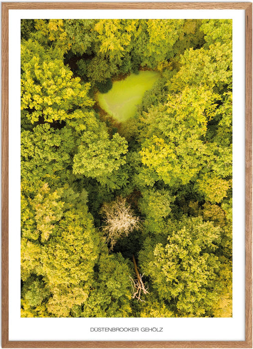 Düstenbrooker Gehölz Poster