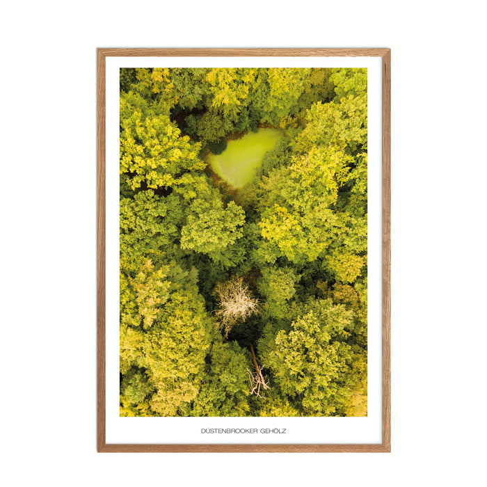 Düstenbrooker Gehölz Poster