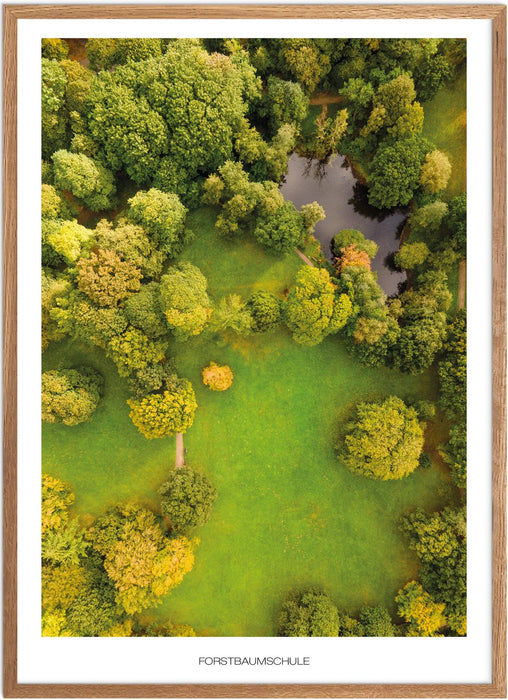 Forstbaumschule No. 1 Poster