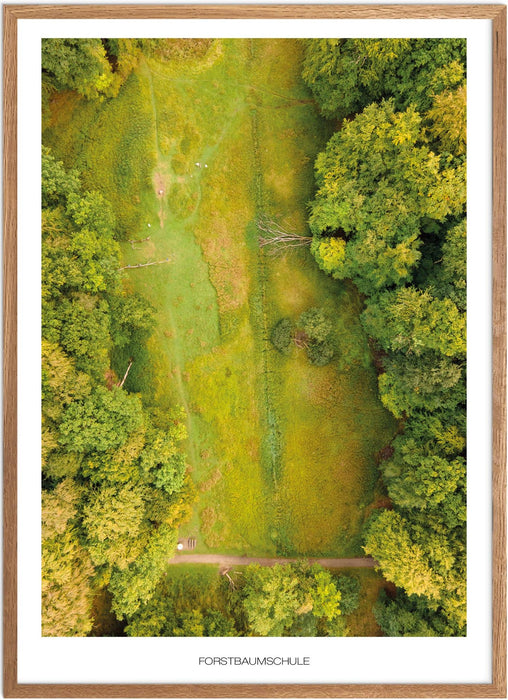 Forstbaumschule No. 2 Poster