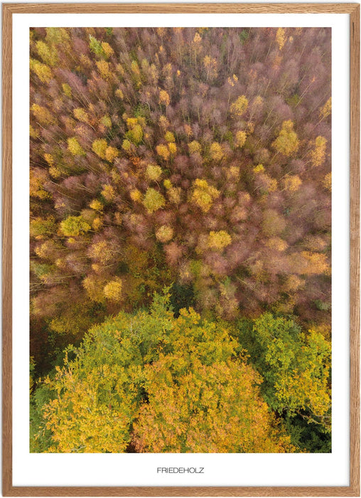 Friedeholz No. 1 Poster