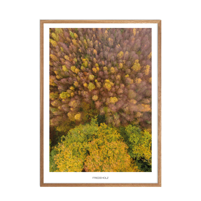 Friedeholz No. 1 Poster