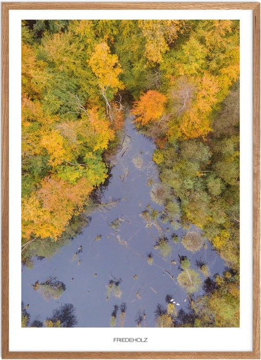 Friedeholz No. 2 Poster