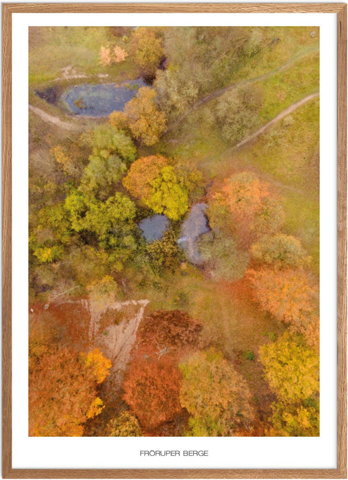 Fröruper Berge No. 2 Poster