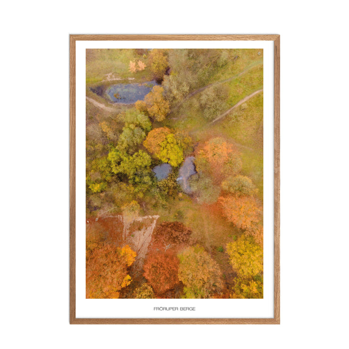 Fröruper Berge No. 2 Poster