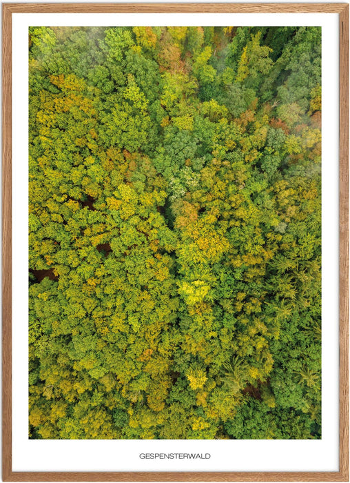 Gespensterwald No. 2 Poster