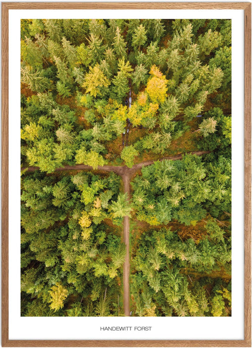 Handewitt Forst Poster