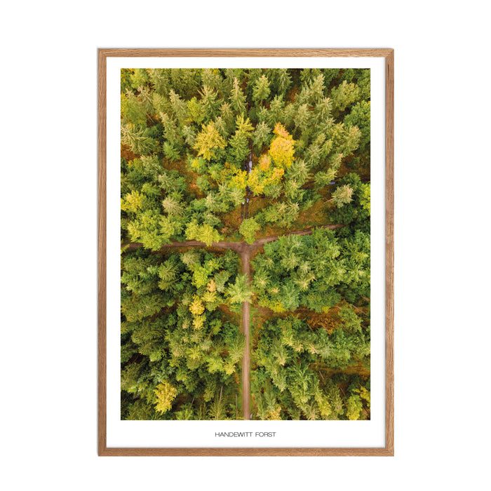Handewitt Forst Poster