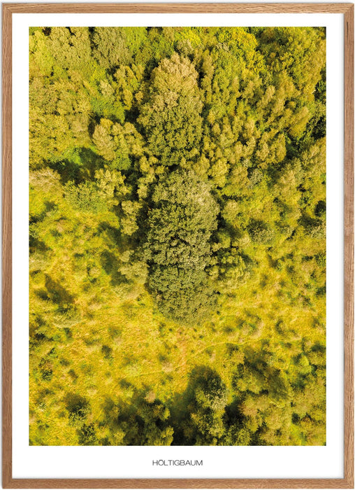 Höltigbaum Poster