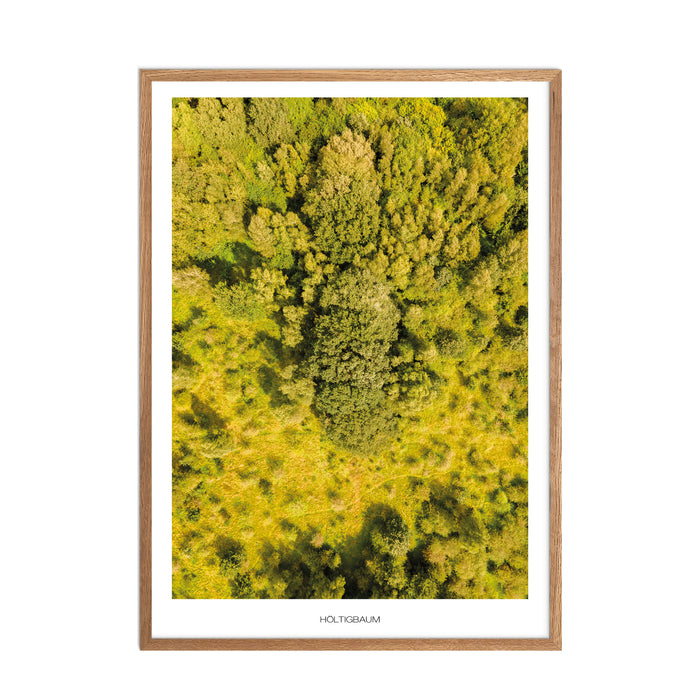 Höltigbaum Poster