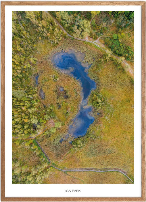 IGA Park No. 1 Poster