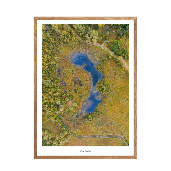 IGA Park No. 1 Poster