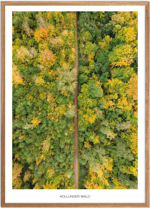 Kollunder Wald Poster