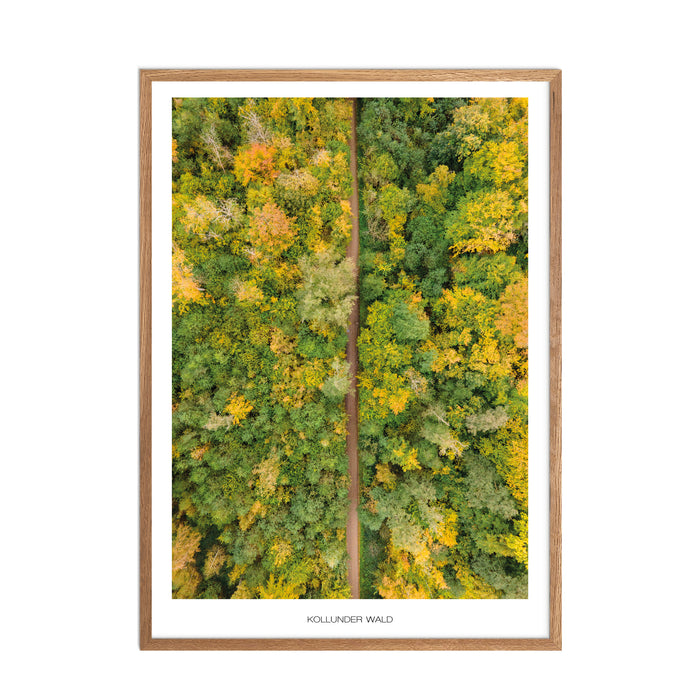 Kollunder Wald Poster