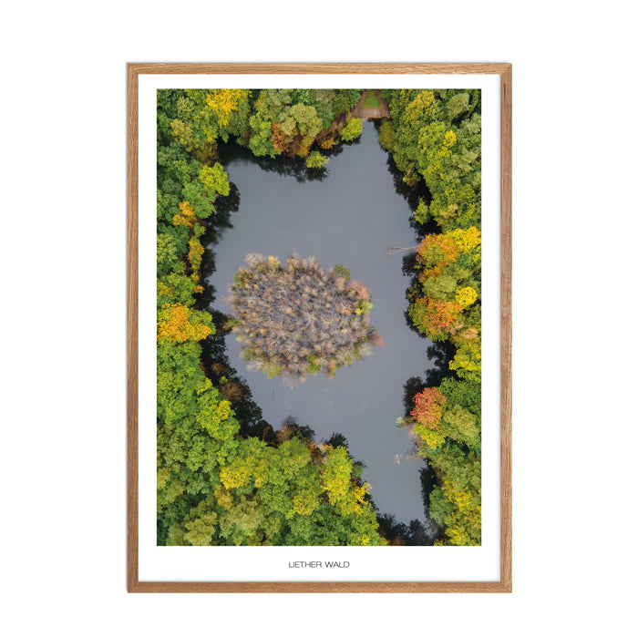 Liether Wald Poster