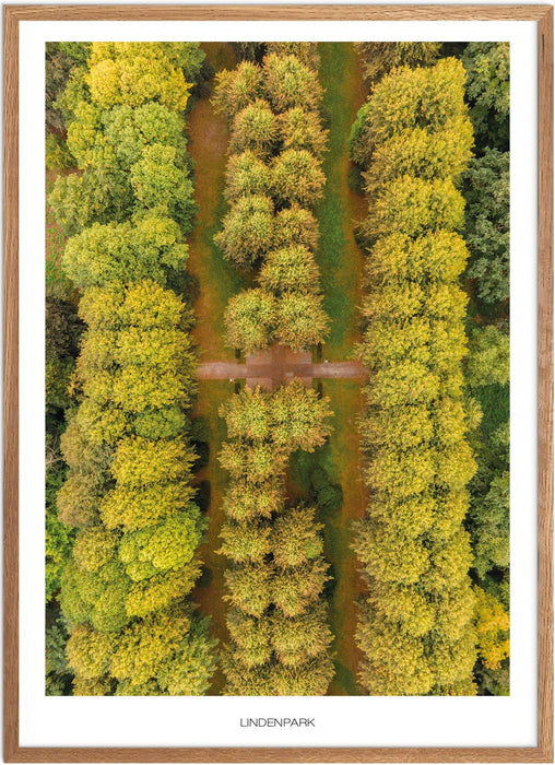 Lindenpark (Rostock) Poster