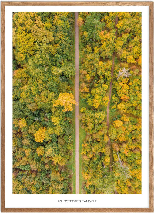 Mildstedter Tannen Poster