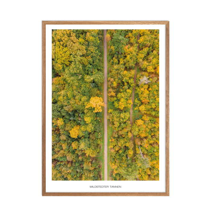Mildstedter Tannen Poster