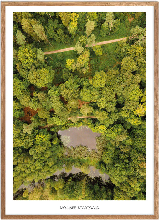 Möllner Stadtwald Poster