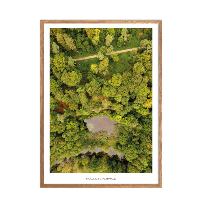 Möllner Stadtwald Poster