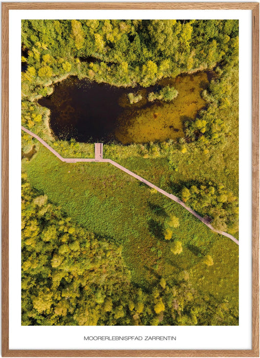 Moorerlebnispfad Zarrentin Poster