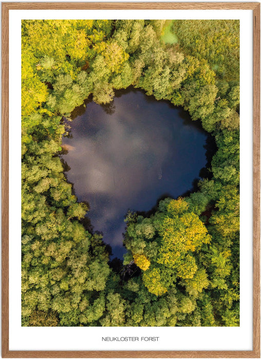Neukloster Forst Poster