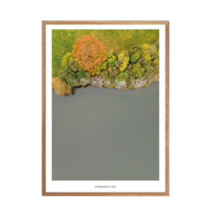 Passader See Poster