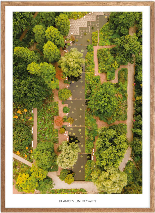 Planten un Blomen No. 1 Poster