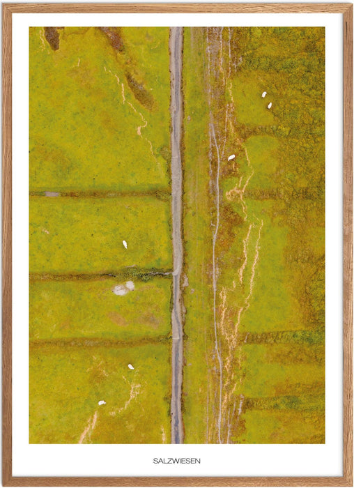 Salzwiesen No. 2 (Sankt Peter-Ording) Poster