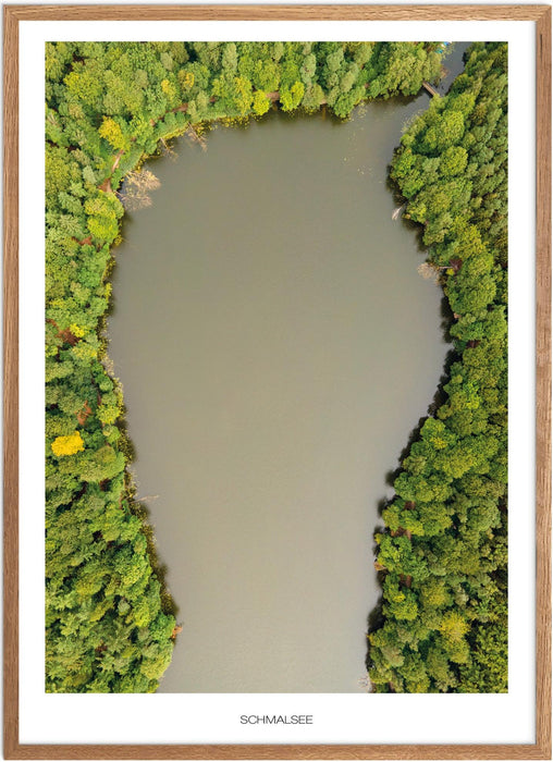 Schmalsee Poster