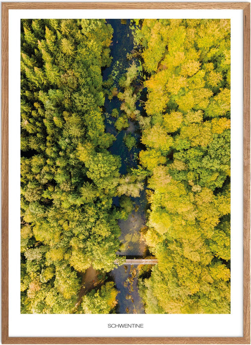 Schwentine No. 1 Poster