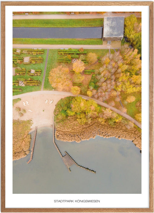 Stadtpark Königswiesen No. 1 Poster
