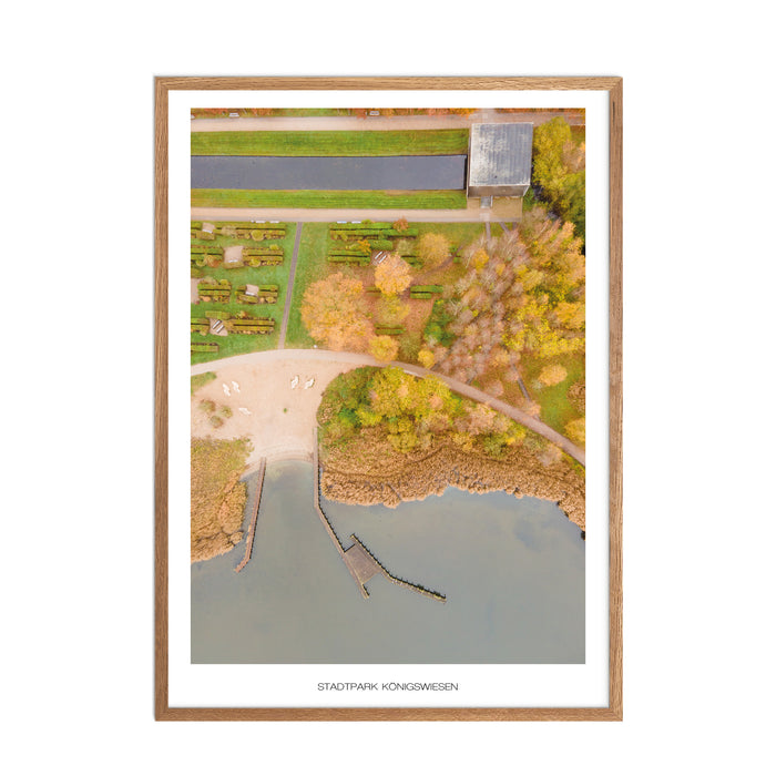 Stadtpark Königswiesen No. 1 Poster