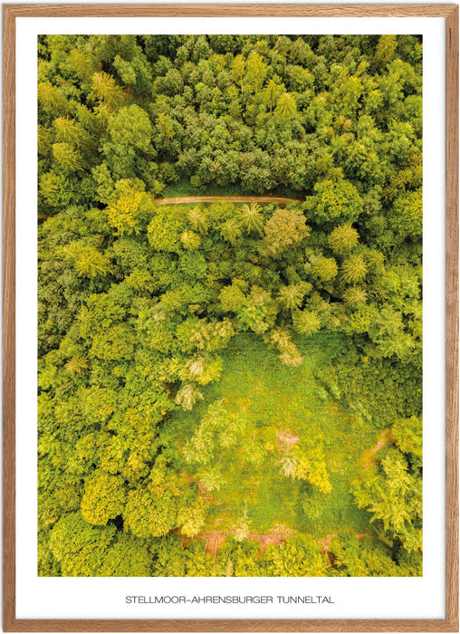 Stellmoor-Ahrensburger Tunneltal Poster
